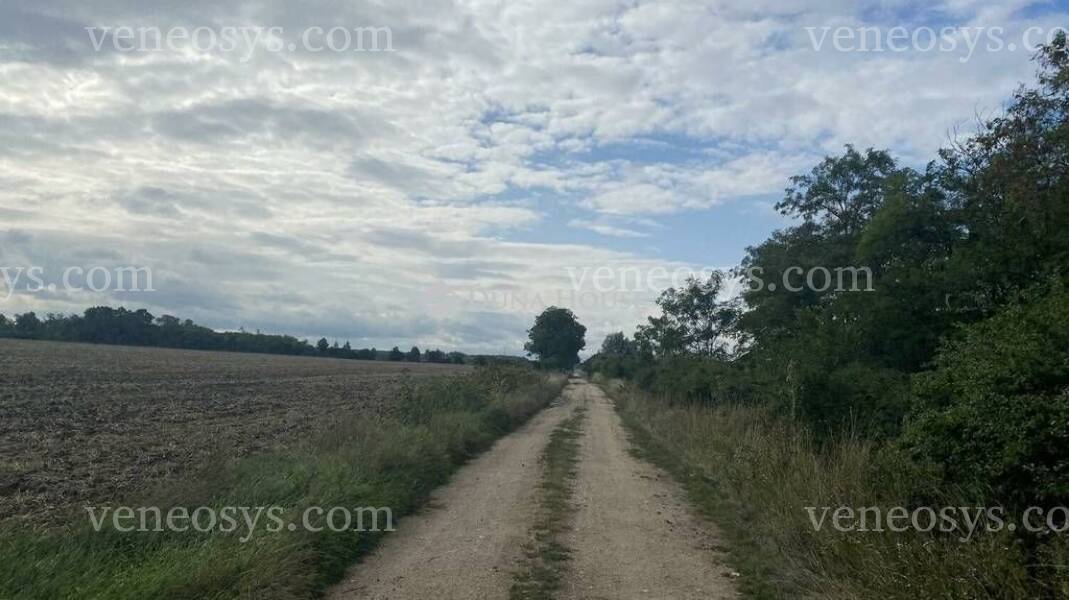 Kép 6