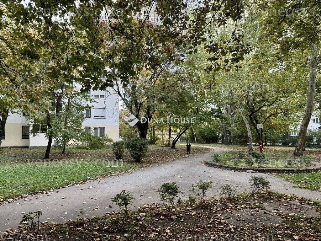 Kép 14