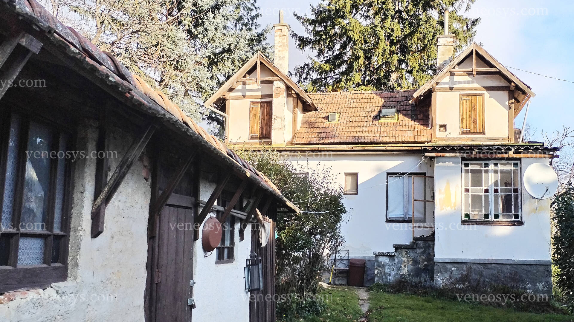 Kép 7