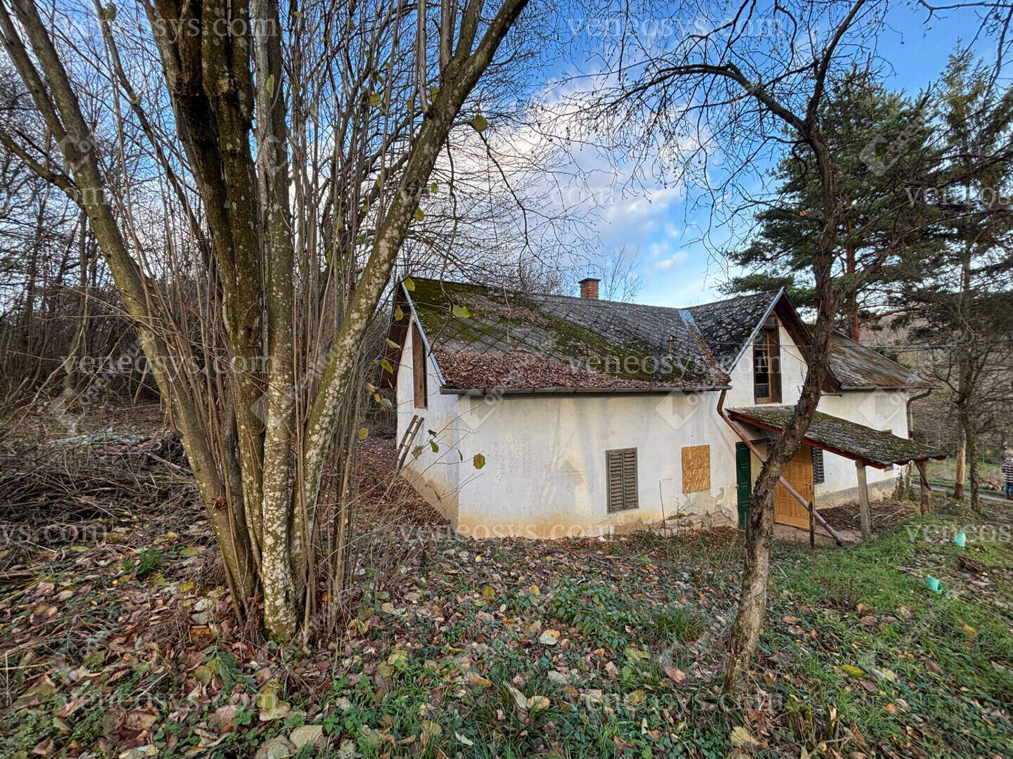Kép 2