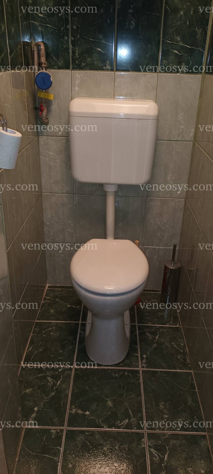Kép 11