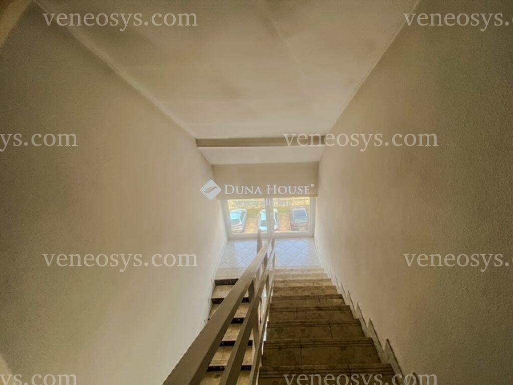 Kép 13