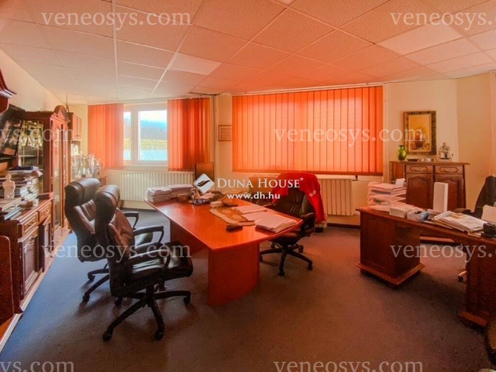 Kép 7