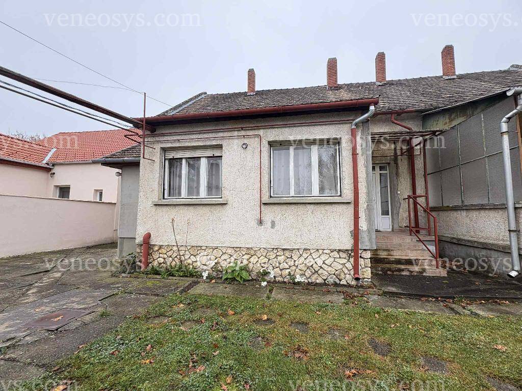 Kép 19