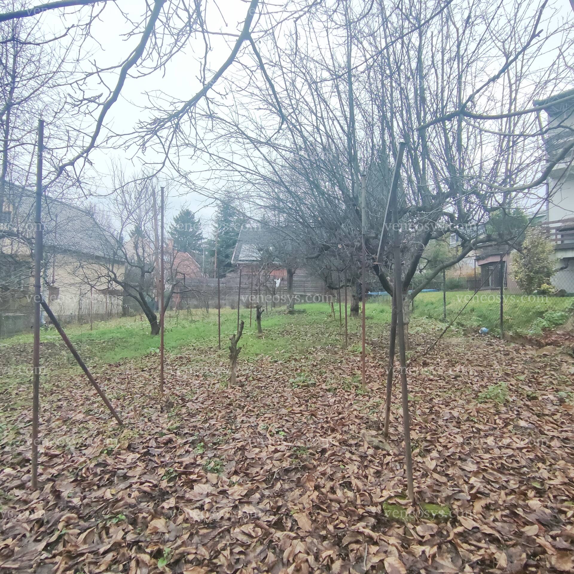 Kép 8