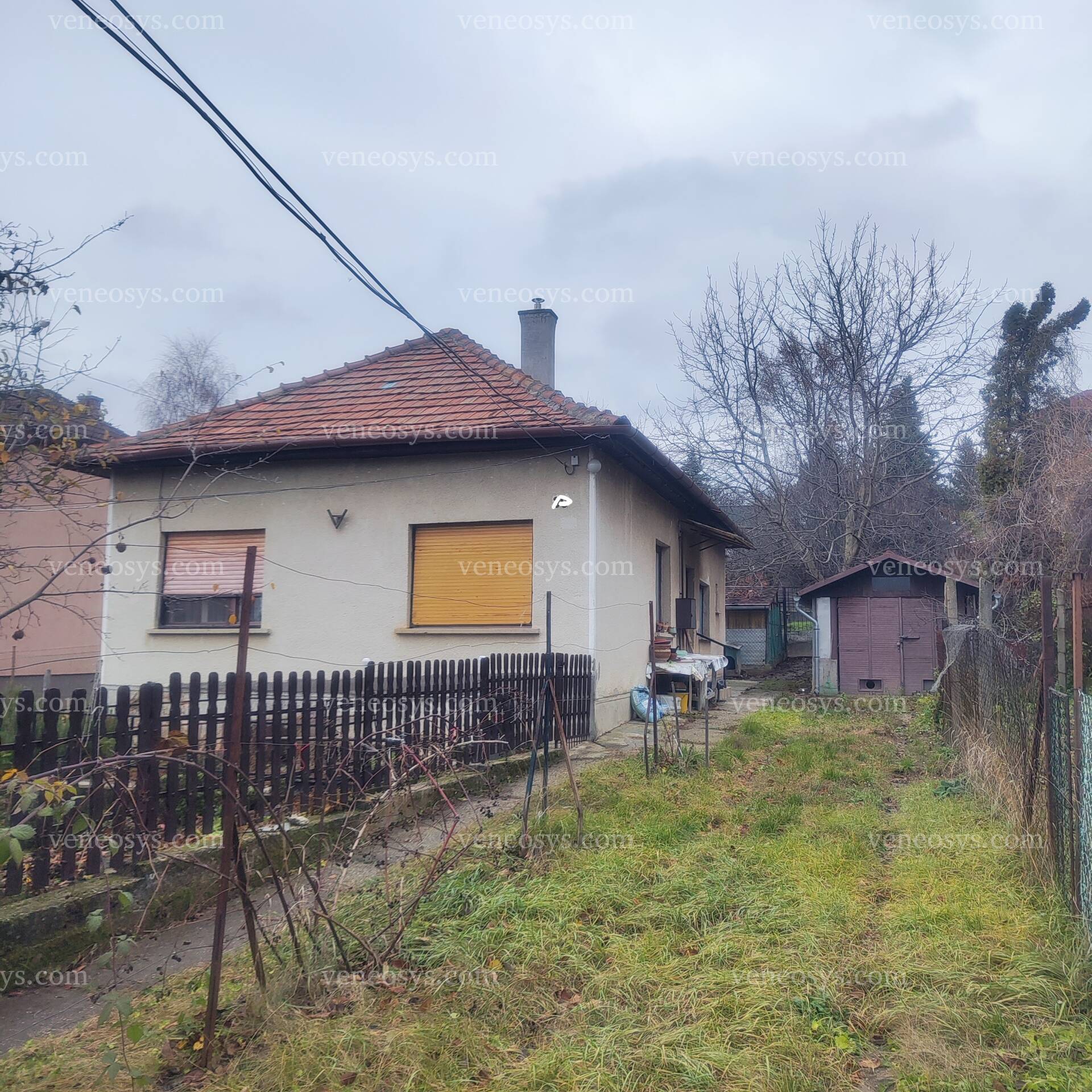 Kép 10
