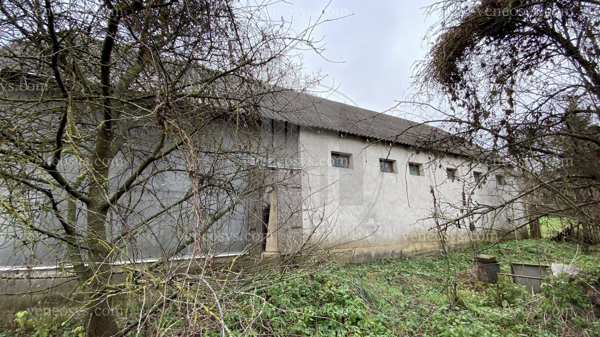 Kép 13