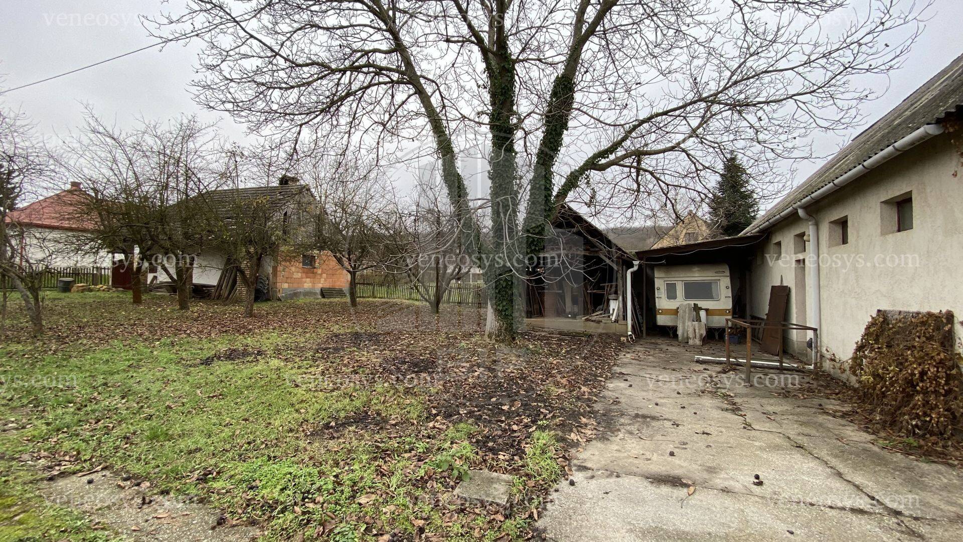 Kép 14