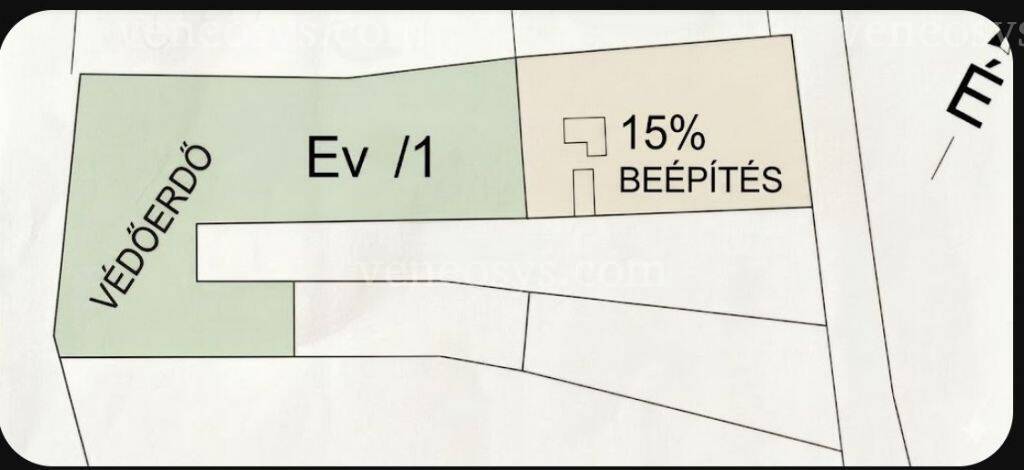 Kép 5