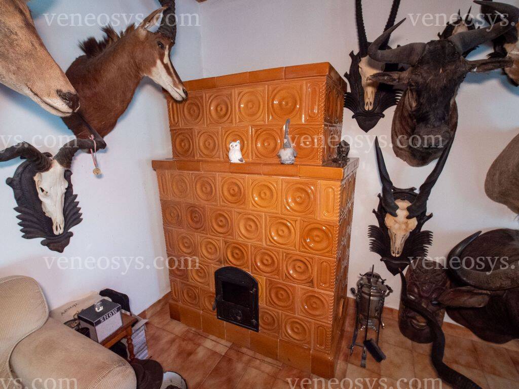 Kép 15
