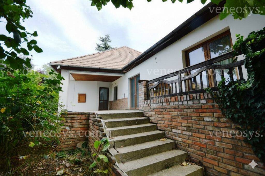 Kép 5