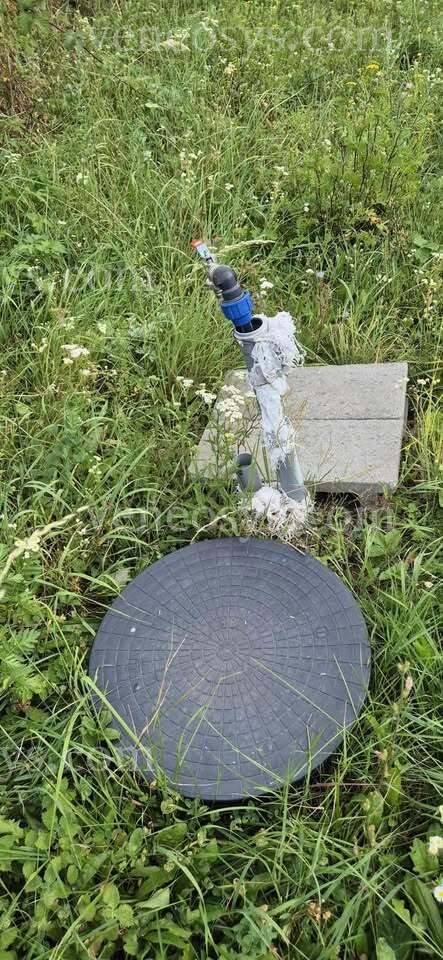 Kép 4