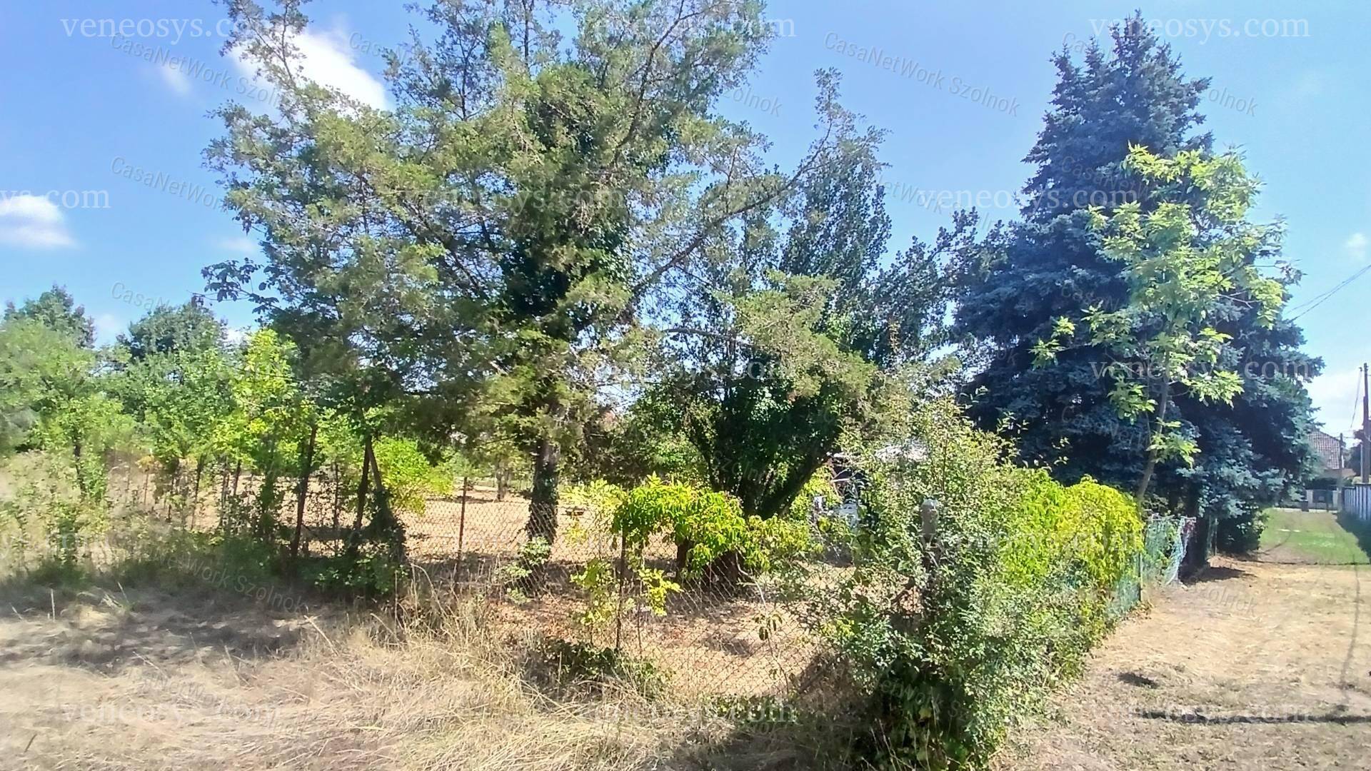 Kép 7