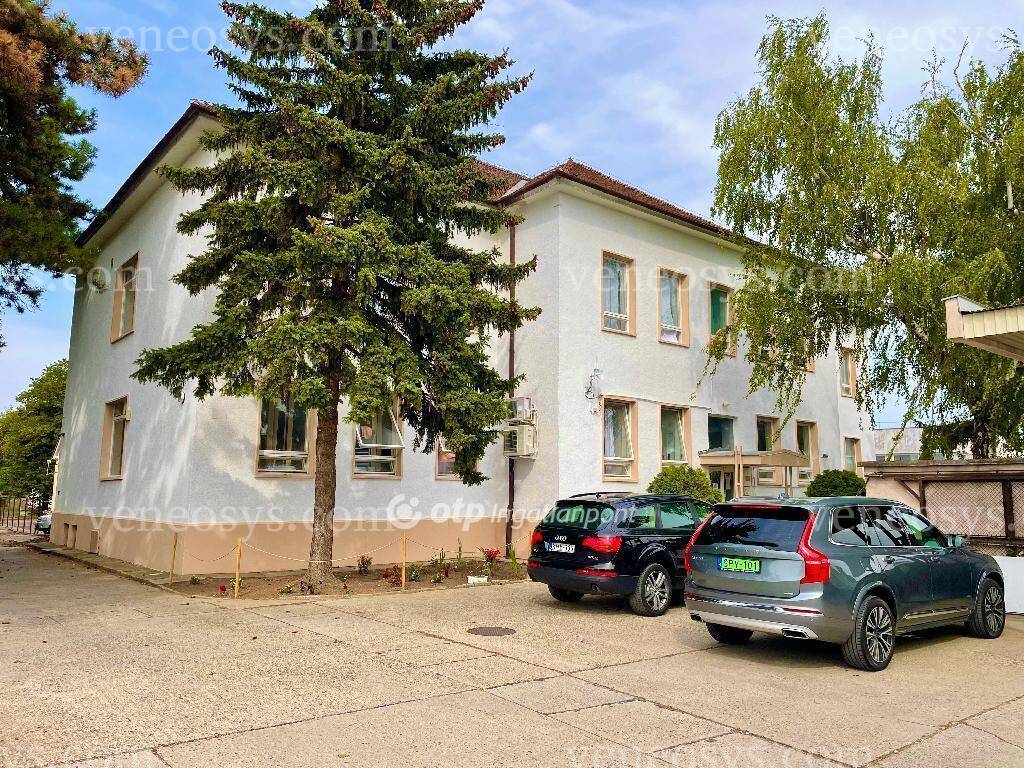 Kép 5