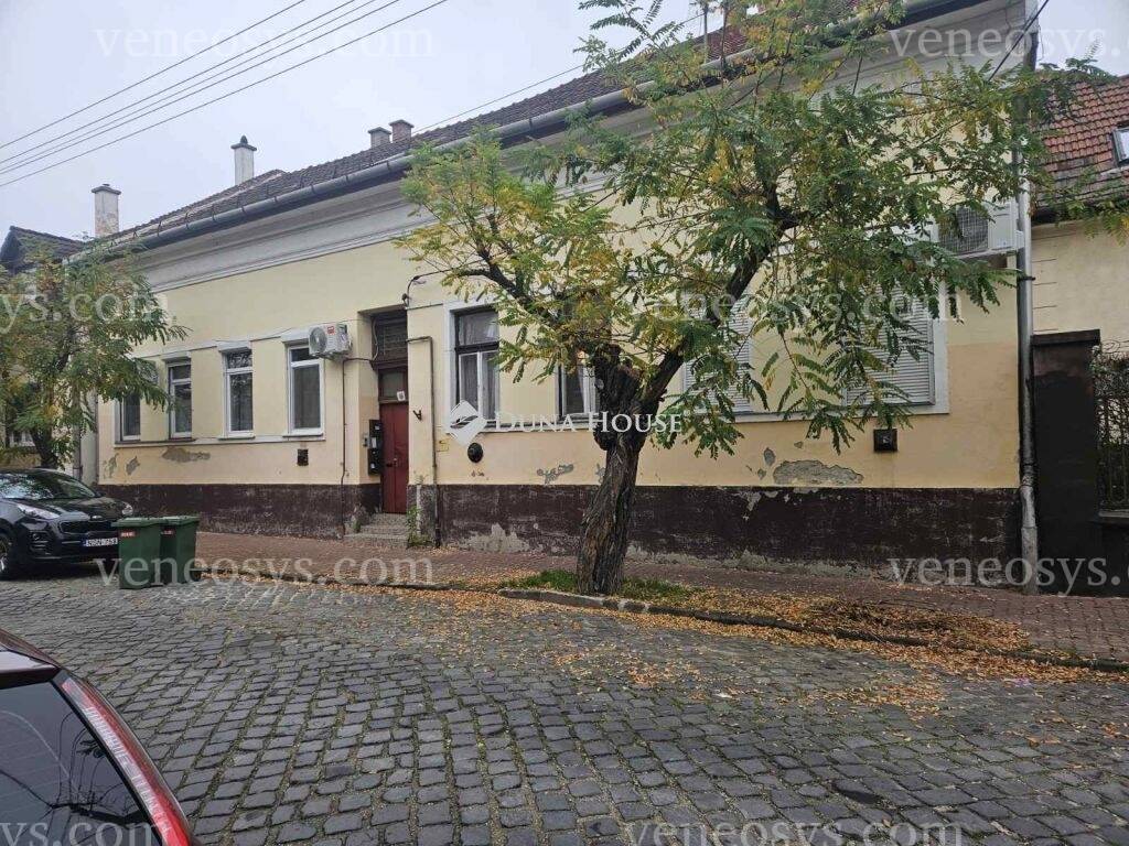 Kép 5