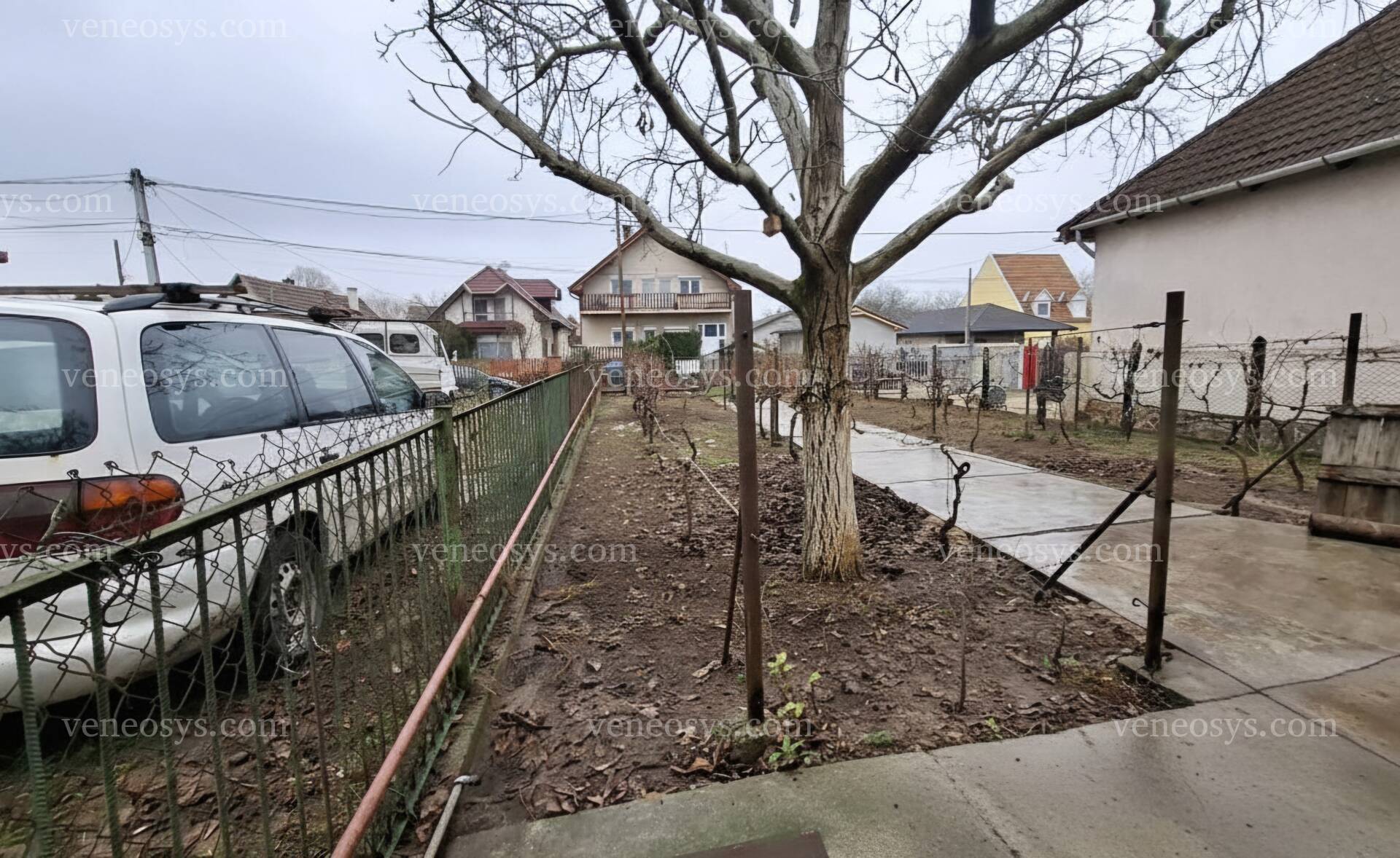 Kép 5
