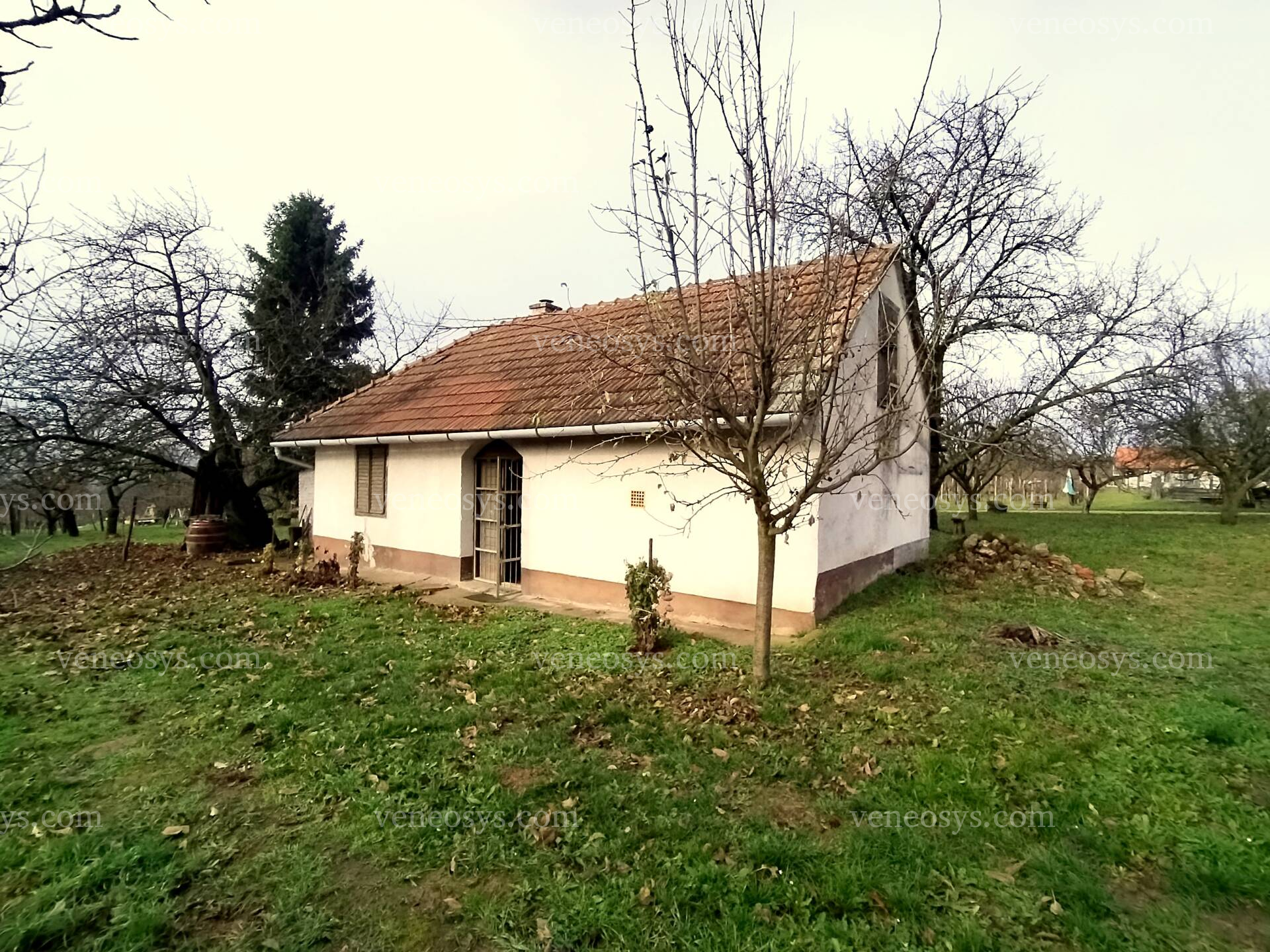 Kép 1