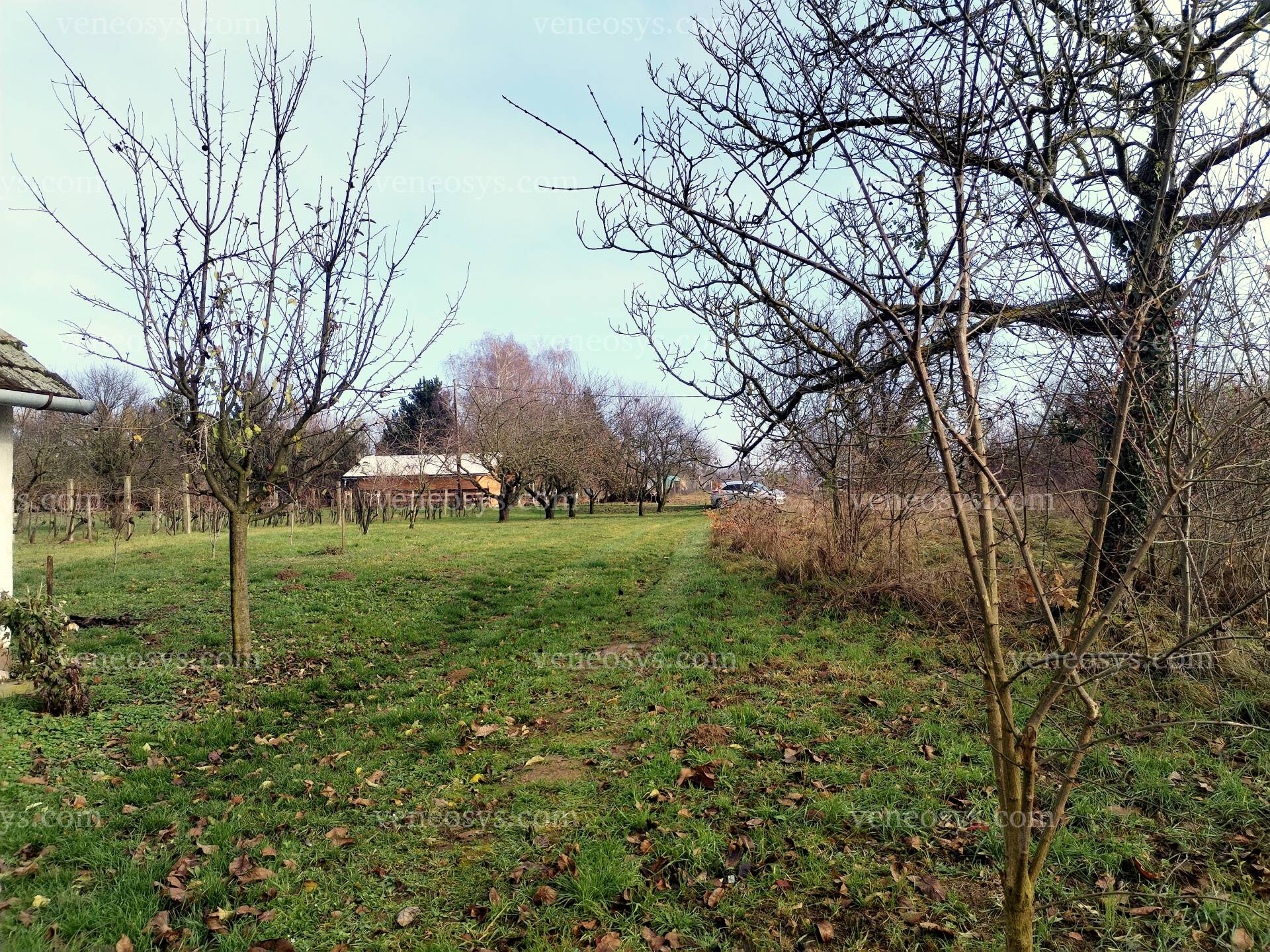 Kép 7