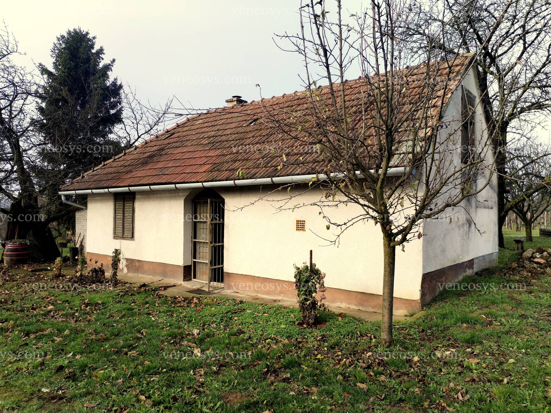 Kép 8