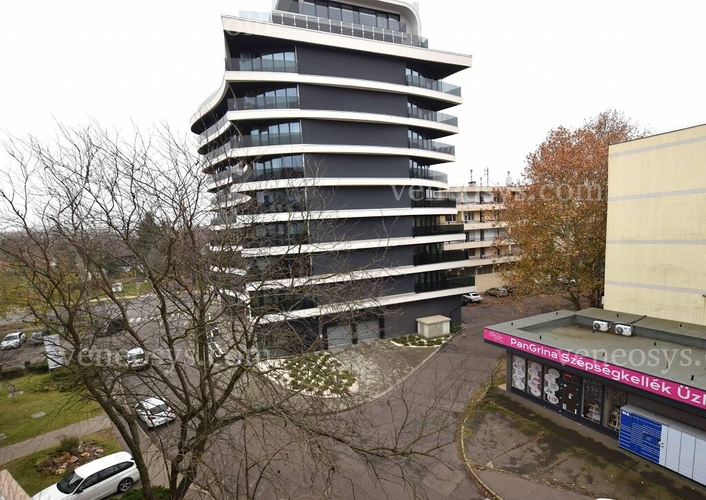 Kép 5