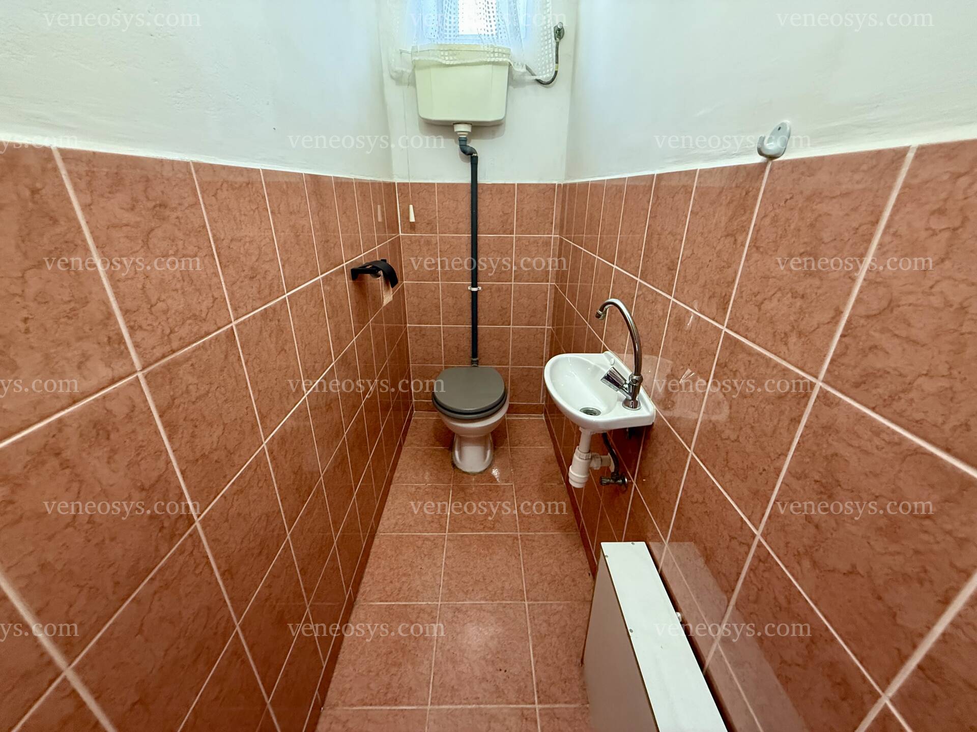 Kép 15