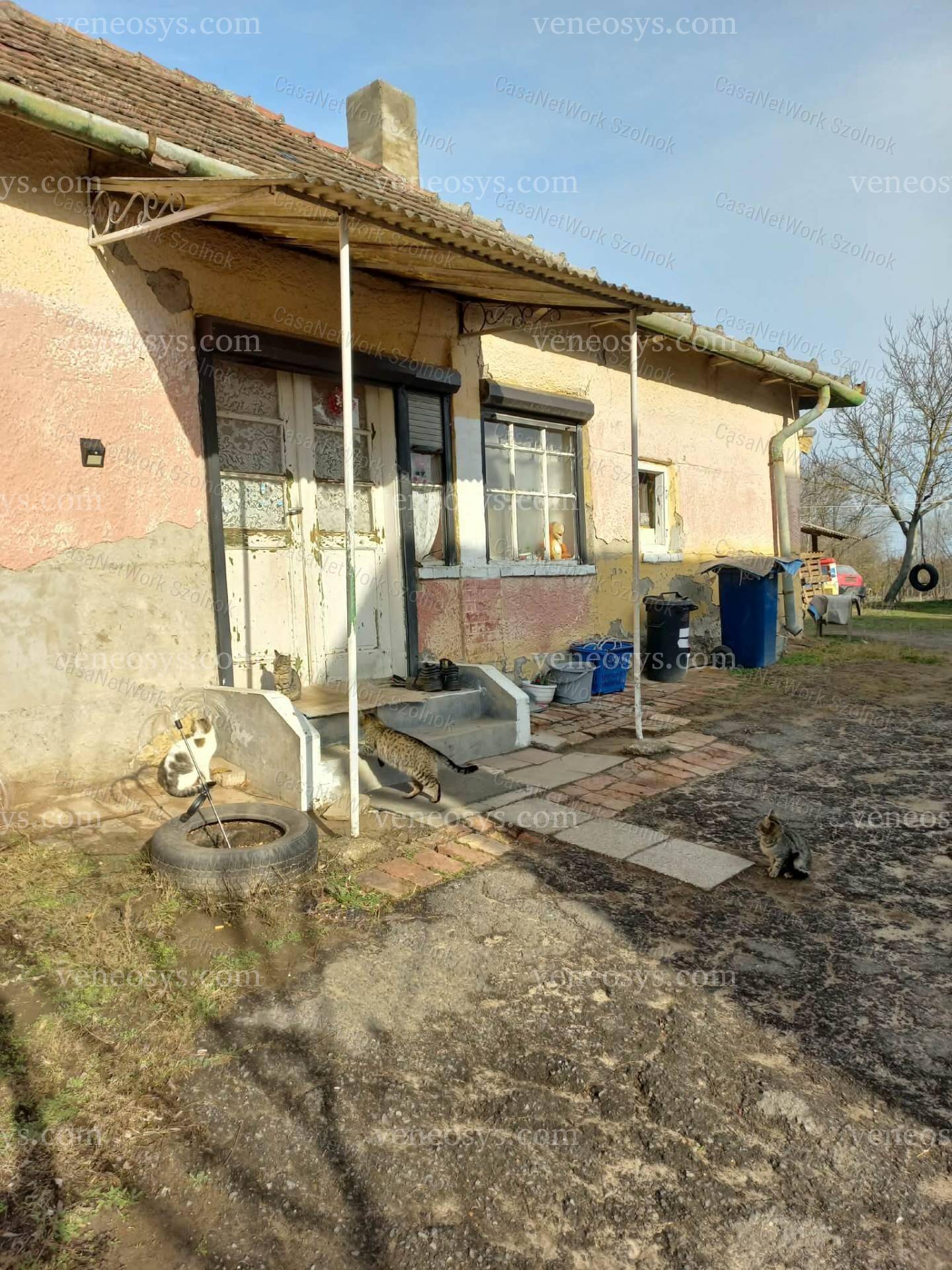 Kép 2