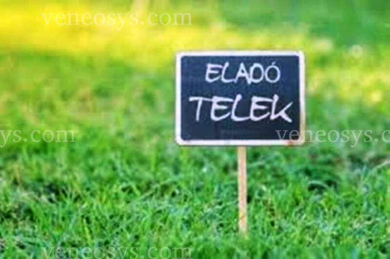 Kép 1