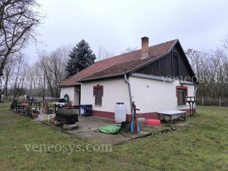 Kép 15