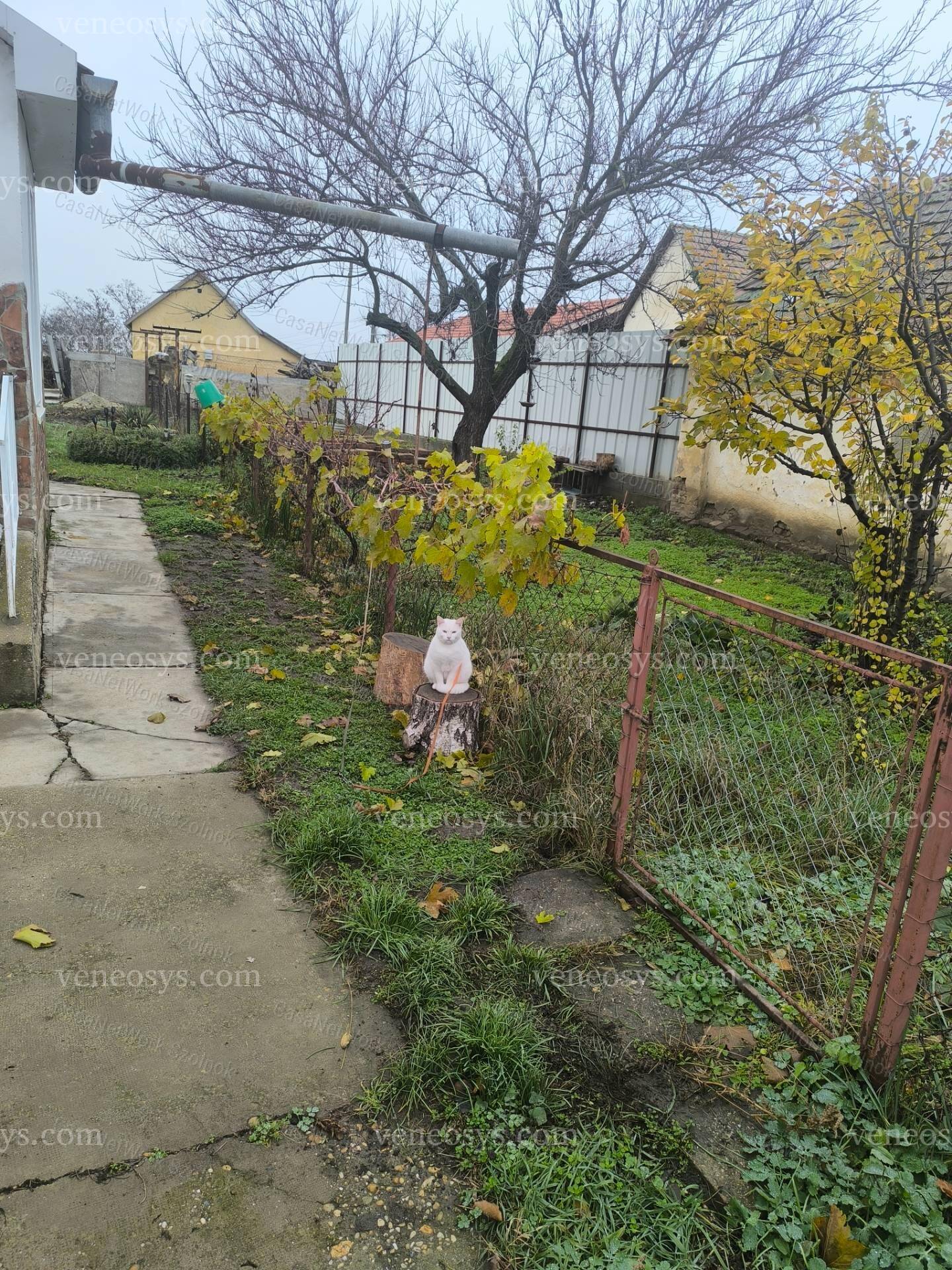 Kép 15