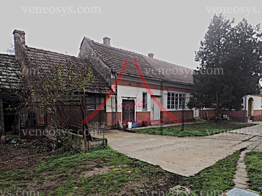 Kép 4
