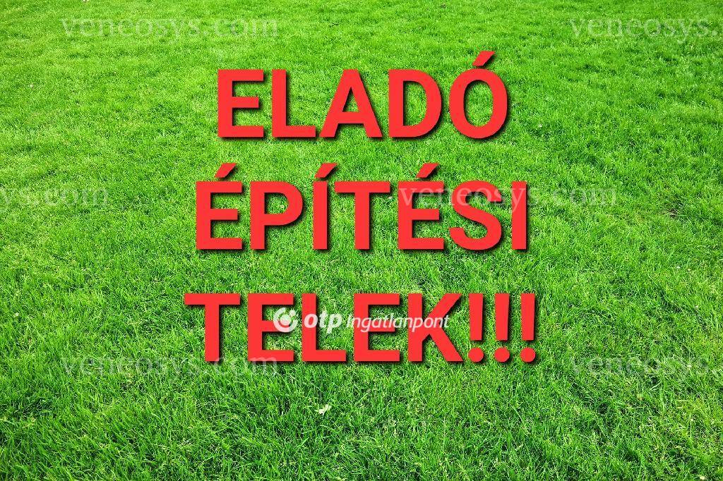 Kép 3