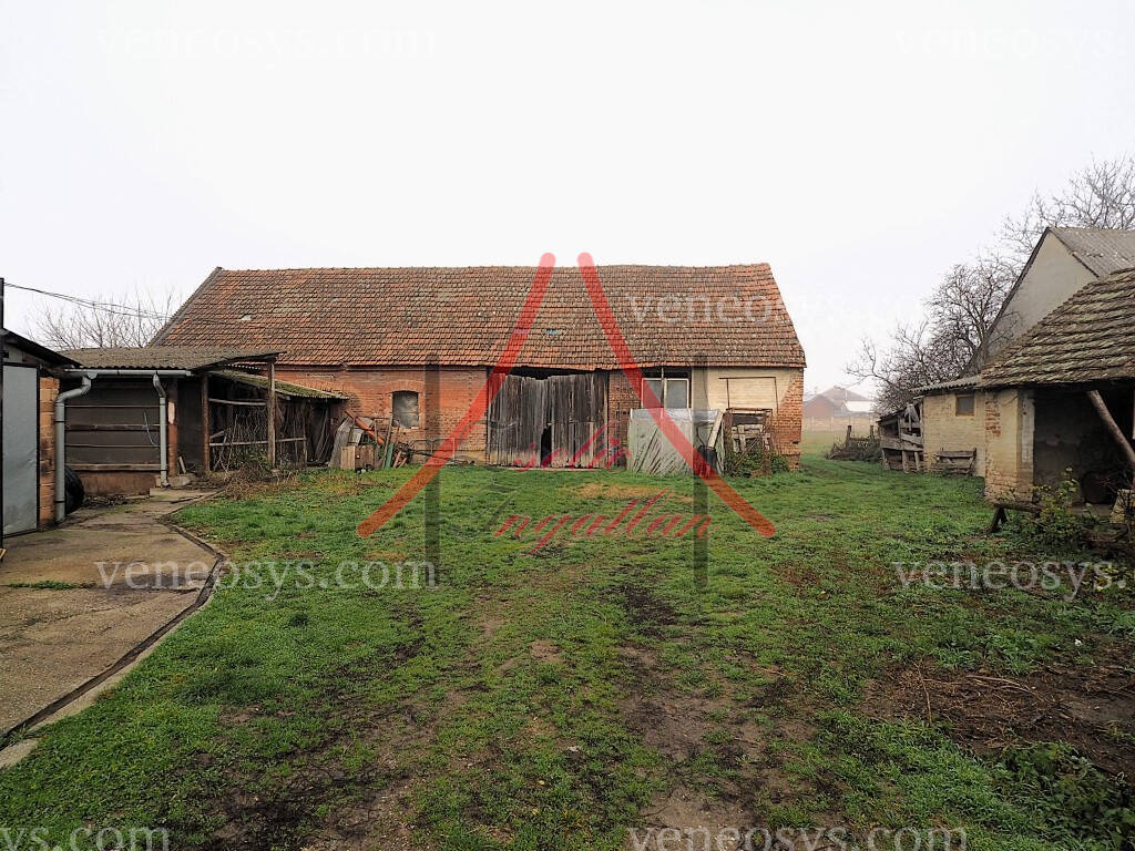 Kép 4