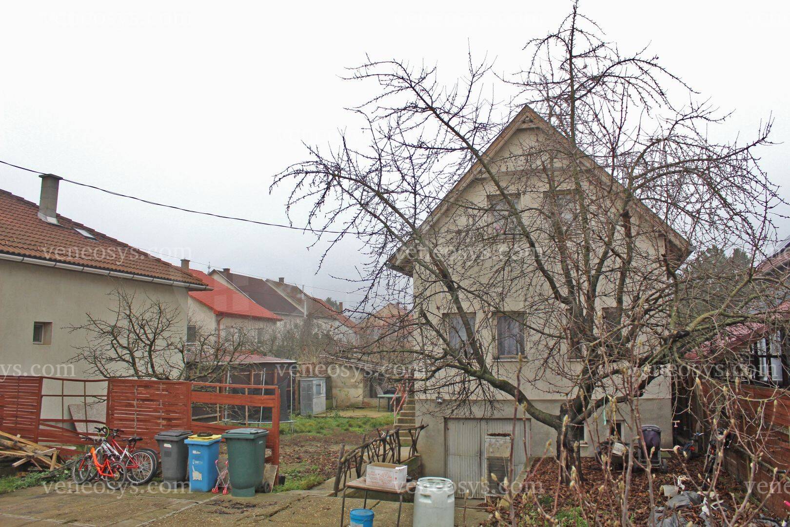 Kép 10
