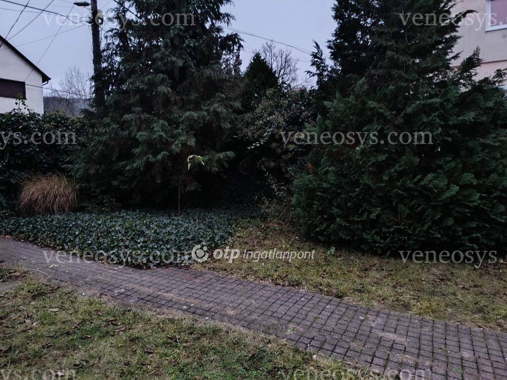 Kép 12
