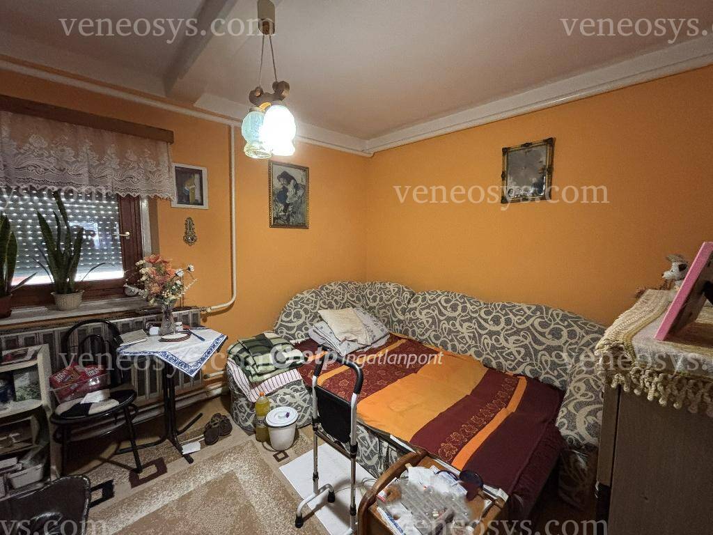 Kép 5