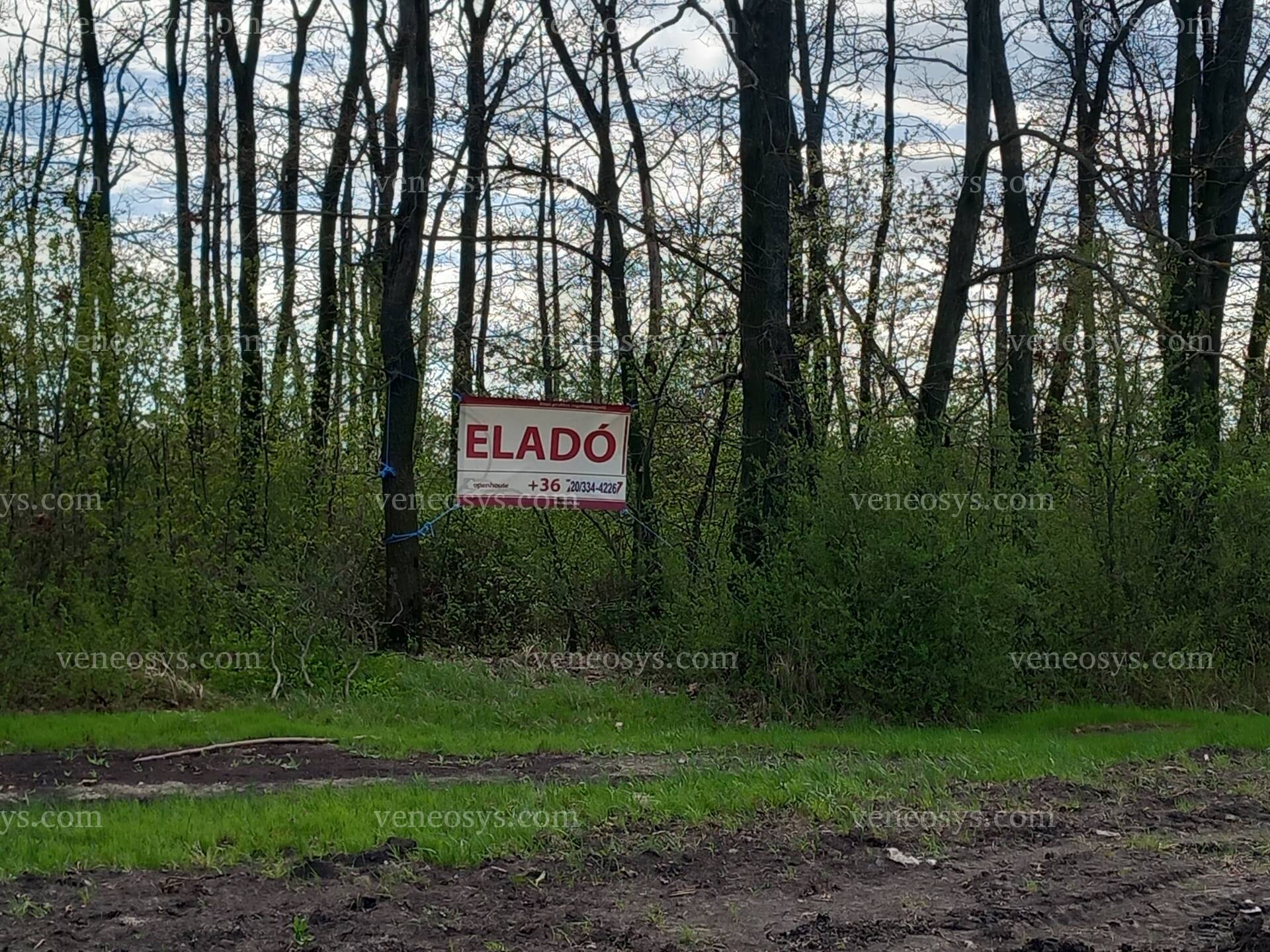 Kép 5