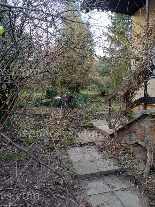 Kép 5