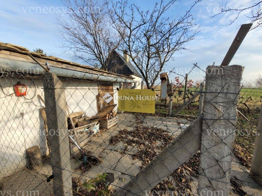 Kép 21