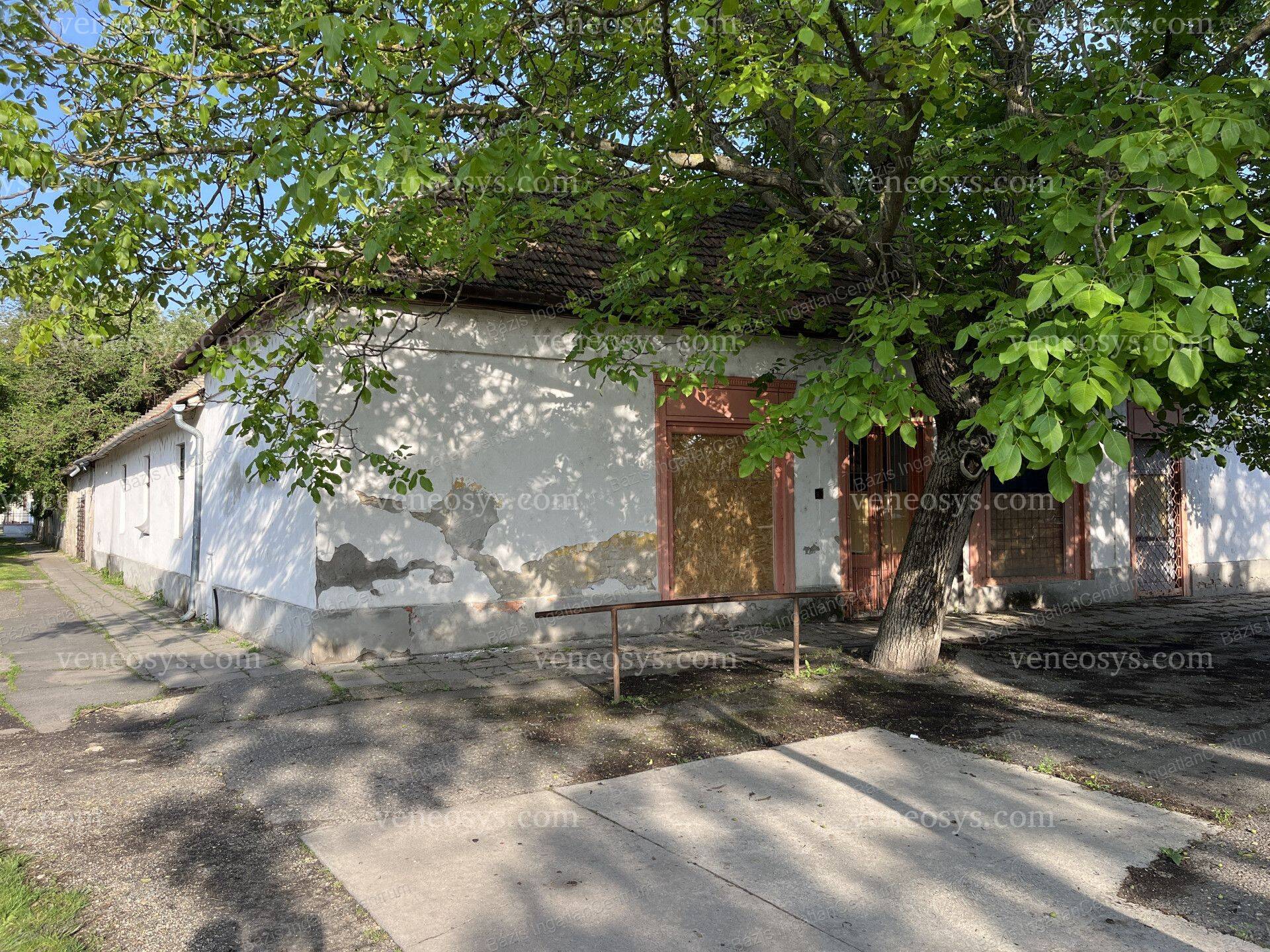 Kép 15
