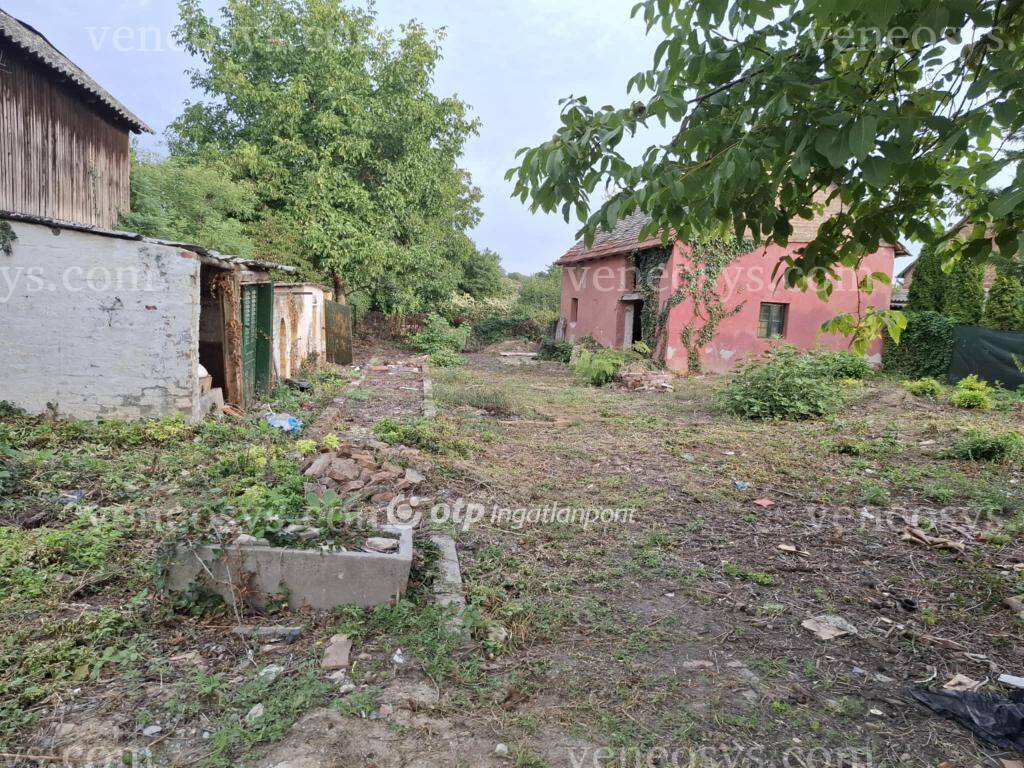 Kép 17