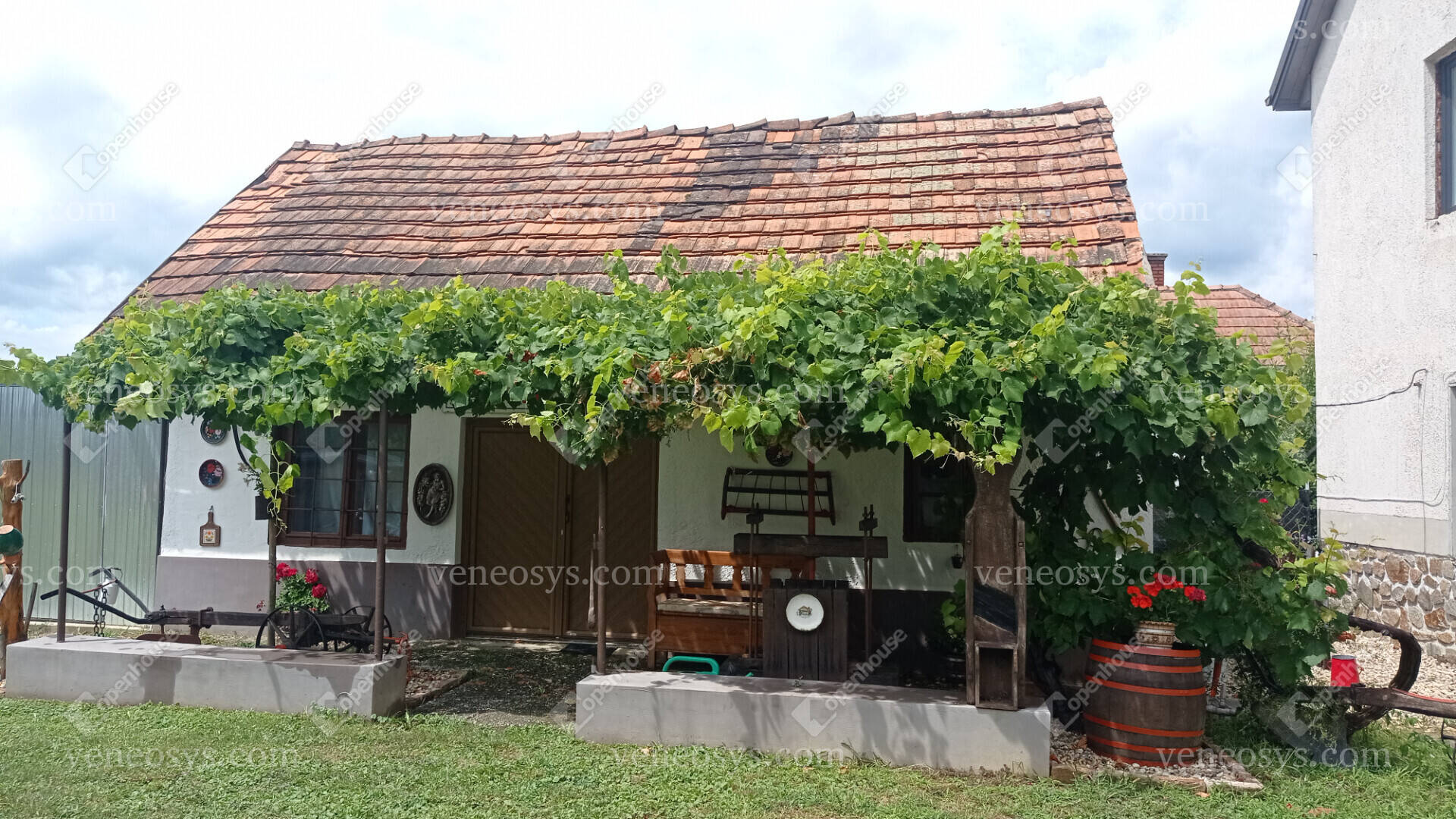 Kép 3