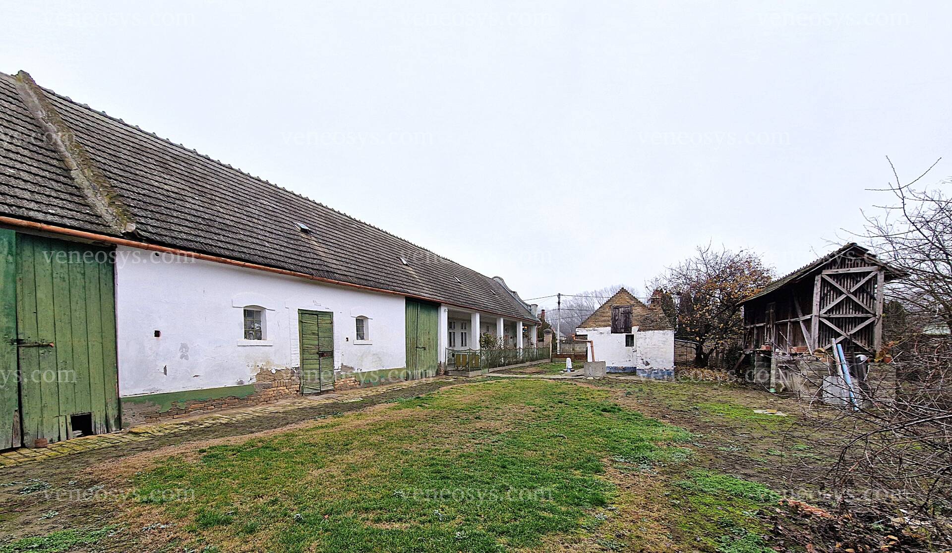 Kép 7