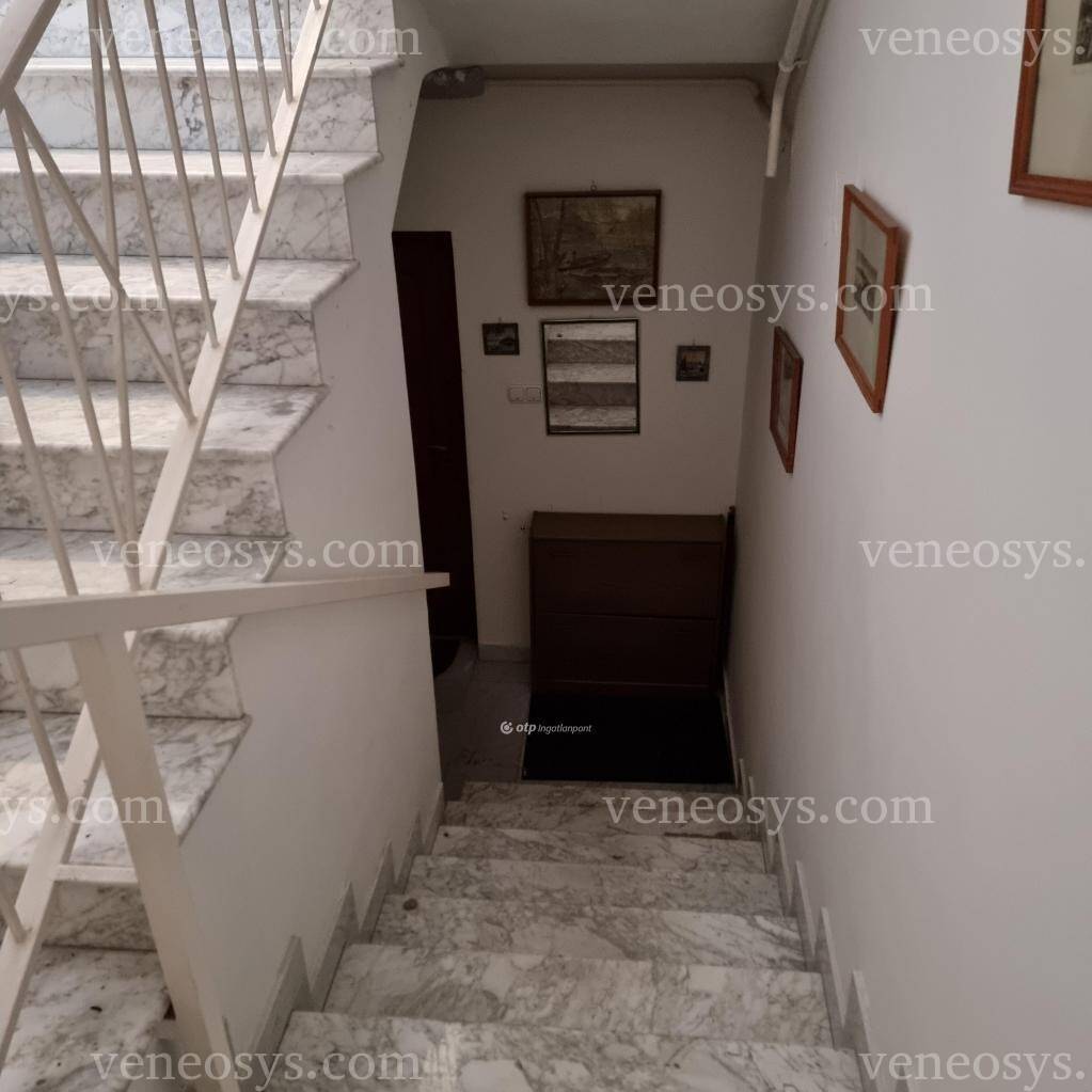 Kép 10