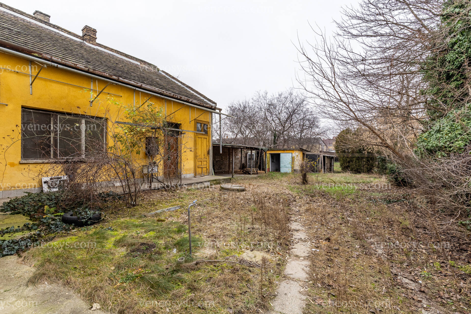Kép 25