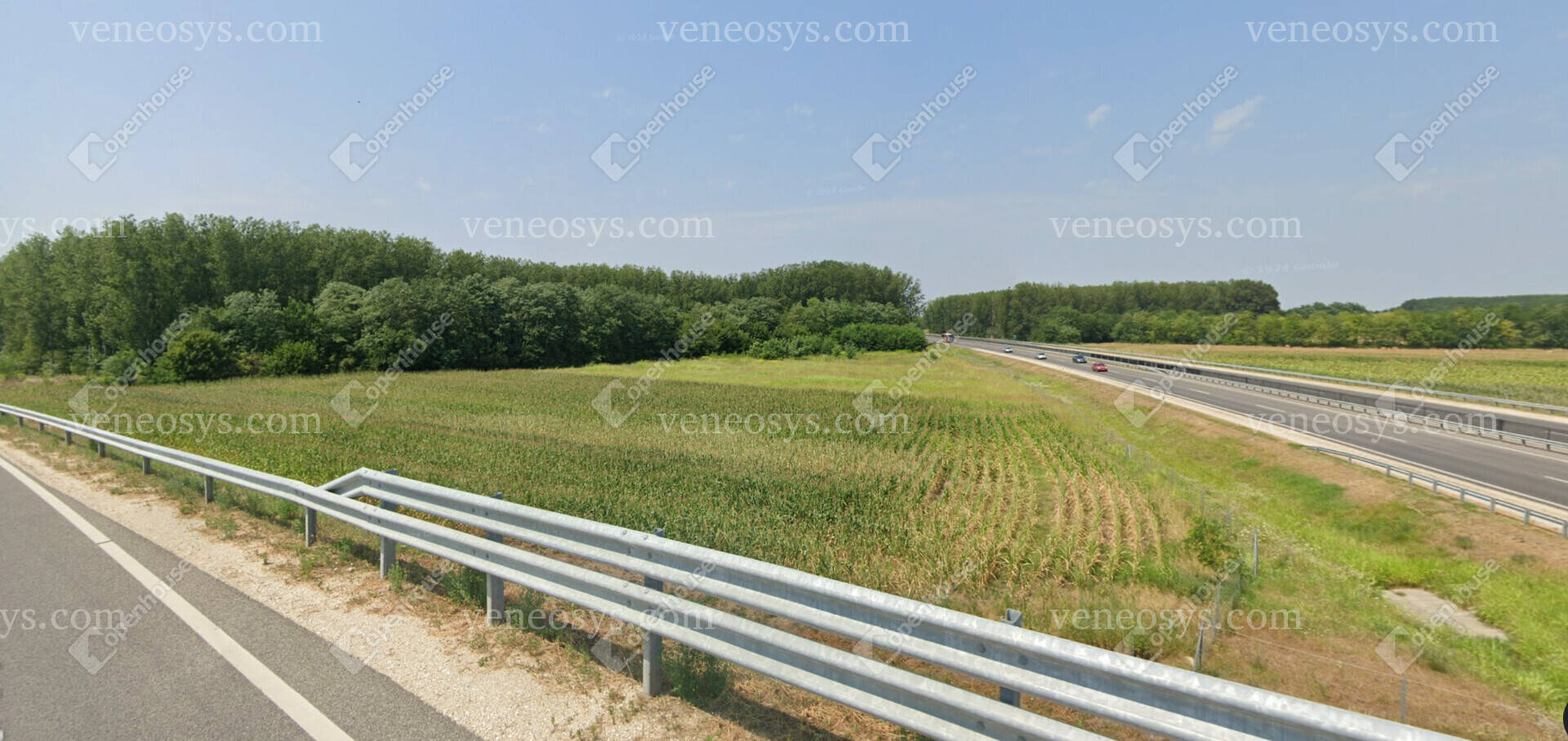 Kép 4
