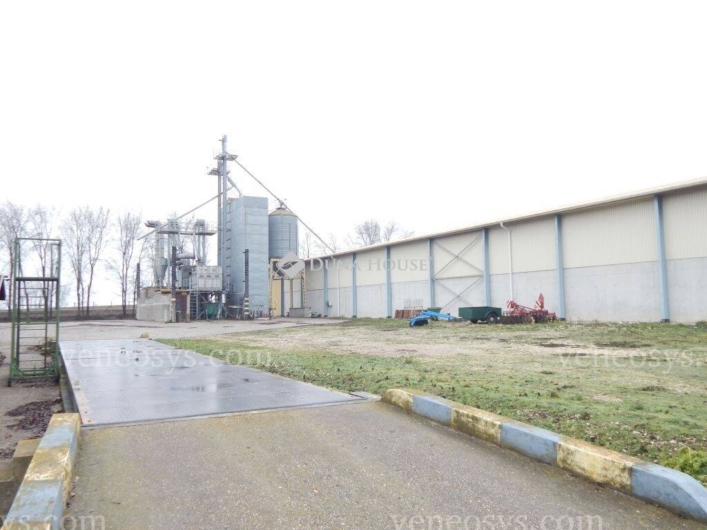 Kép 13