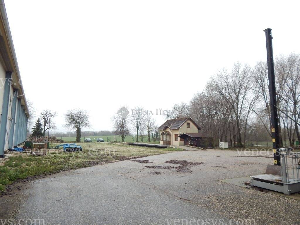 Kép 12