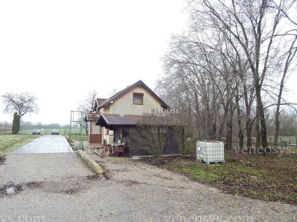 Kép 10