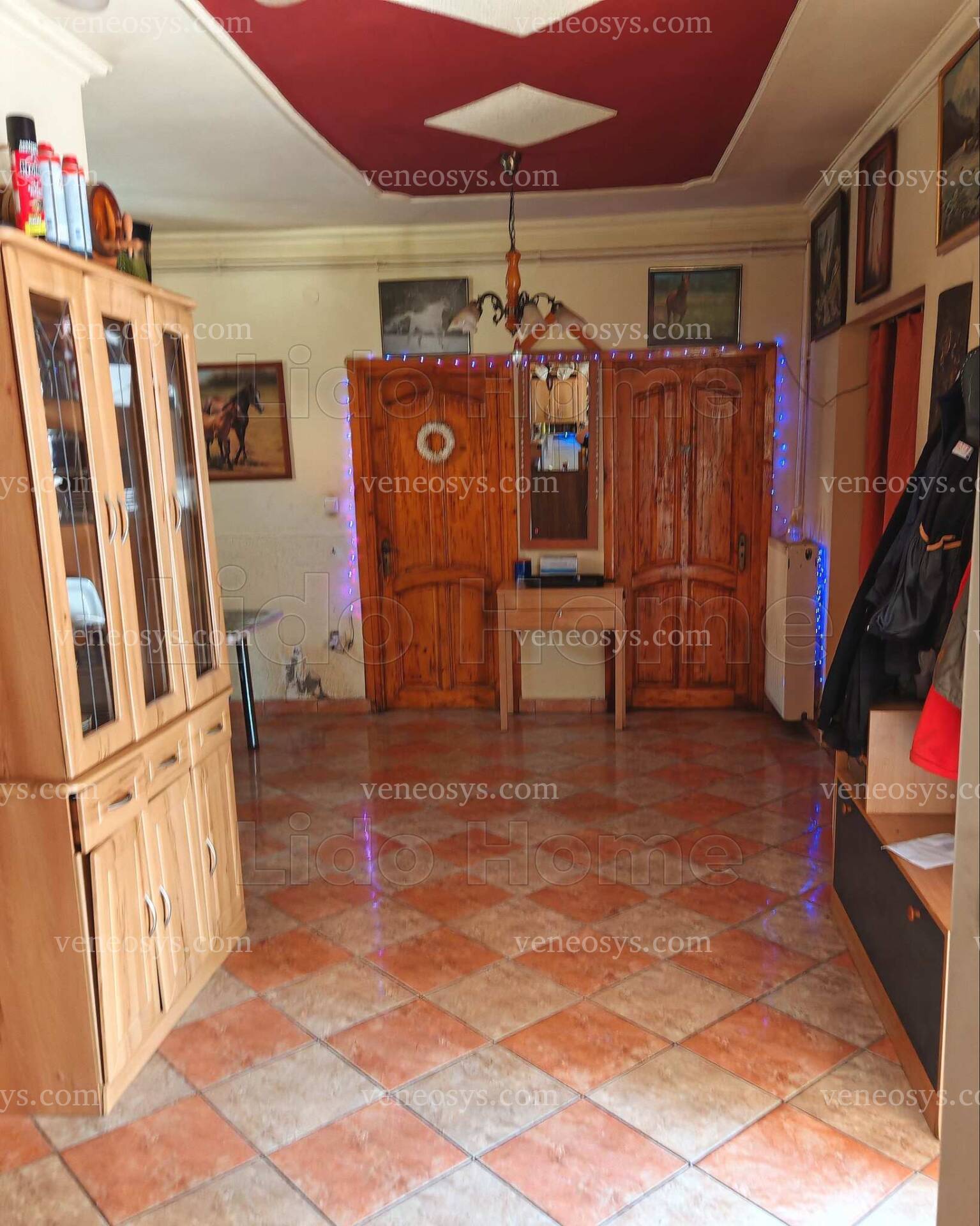 Kép 5