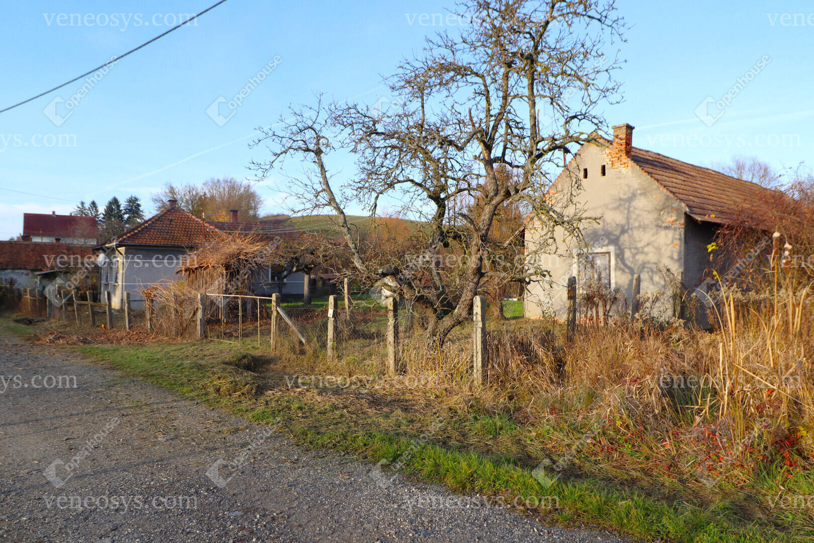 Kép 13